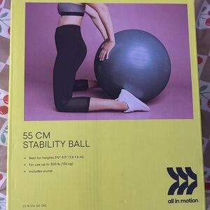 NWT All-in-Motion 55cm Stability Yoga Ball in Glacier Blue